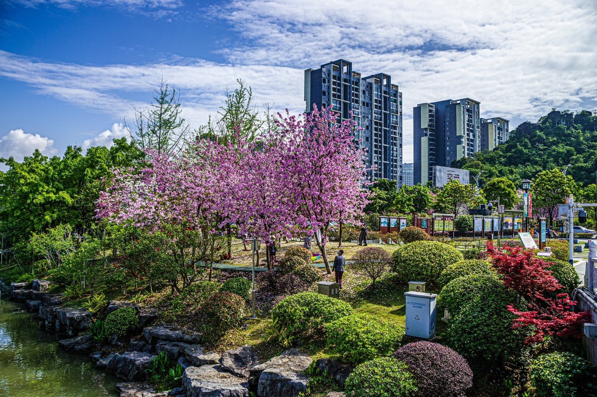 春天花开的时候