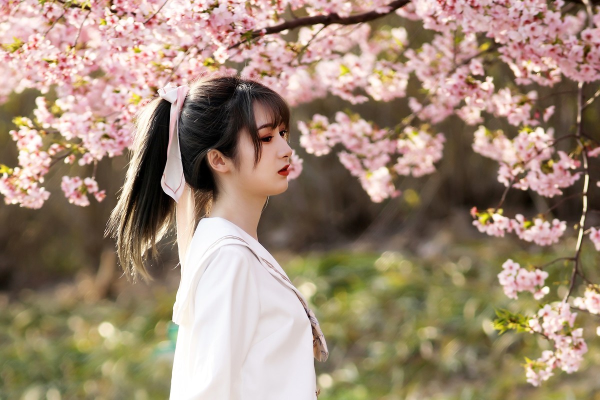 JK服mm（樱花树旁留个影系列08）