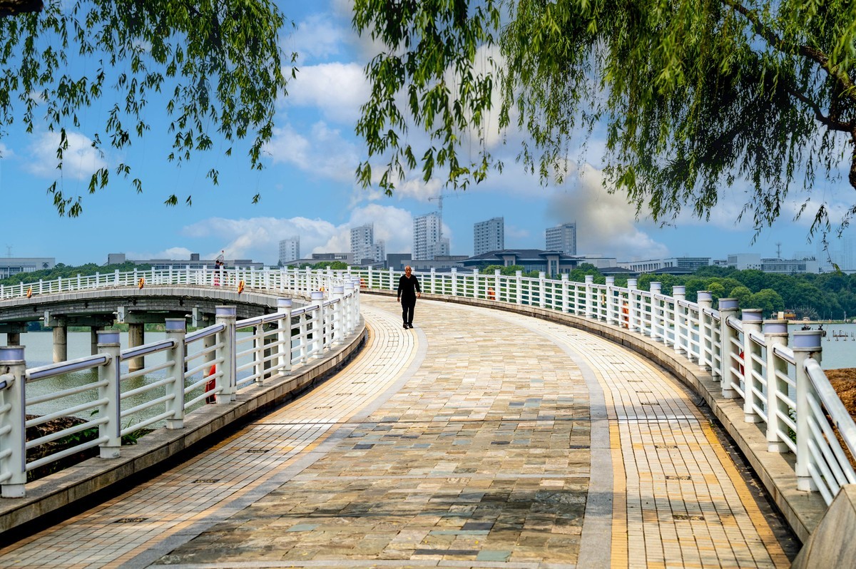 庐州印象（333）