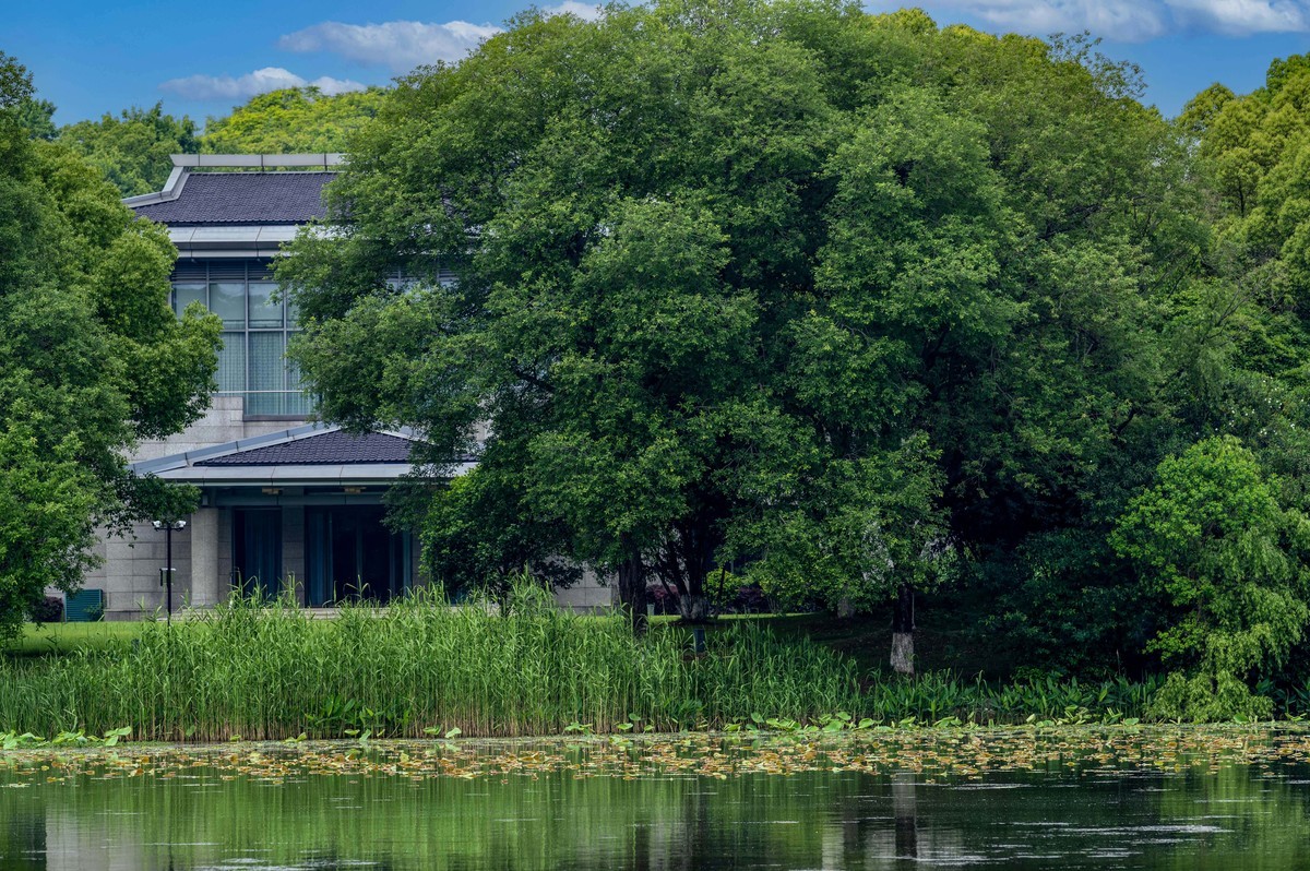 庐州印象（333）