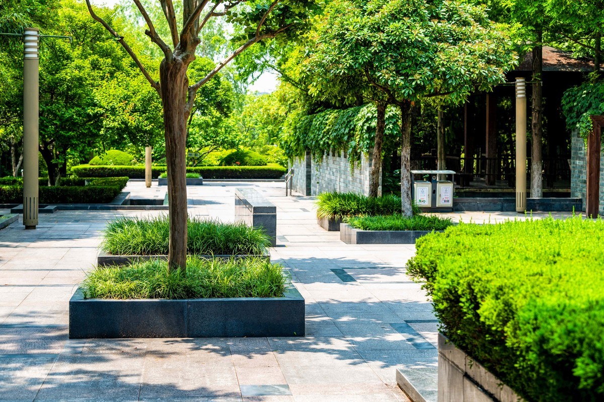 庐州印象（333）