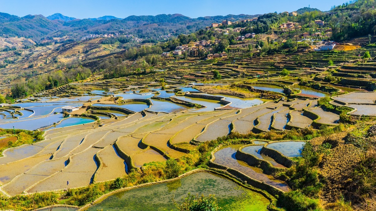 元 阳 、 元 阳 ------ 多 依 树 梯 田 （ 九 ）