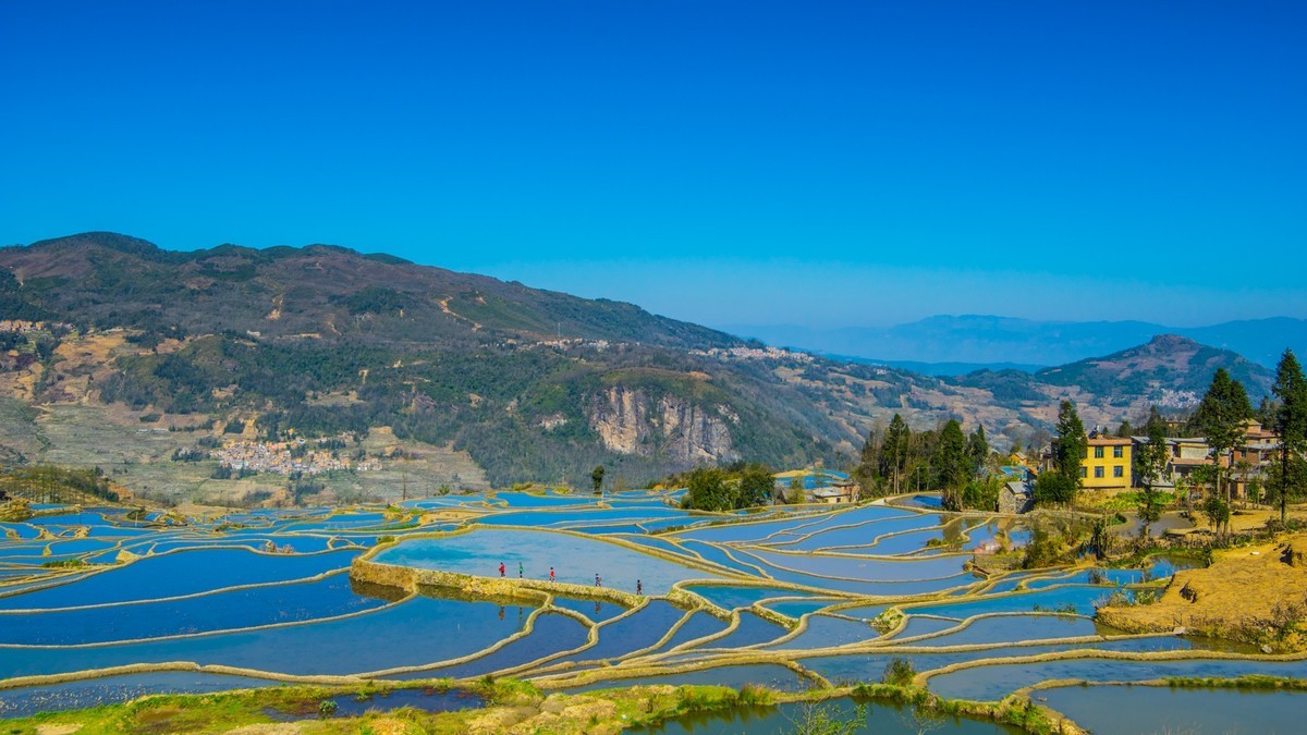 元 阳 、 元 阳 ------ 多 依 树 梯 田 （ 九 ）