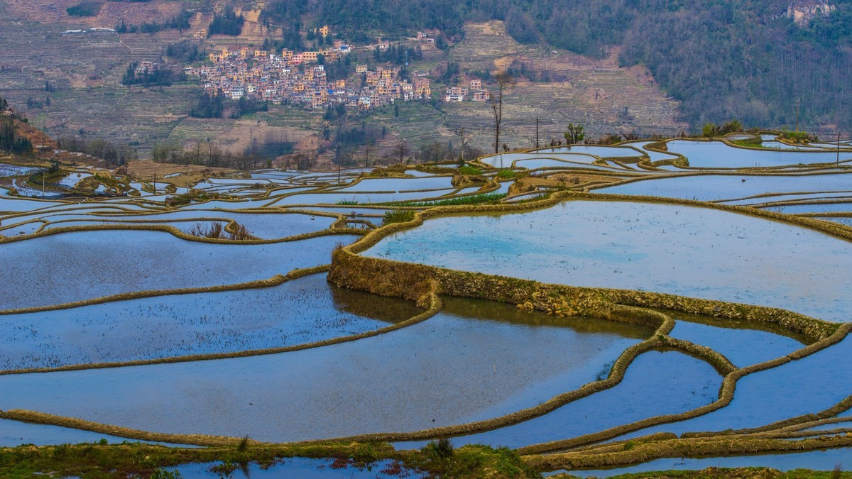 元 阳 、 元 阳 ------ 多 依 树 梯 田 （ 九 ）