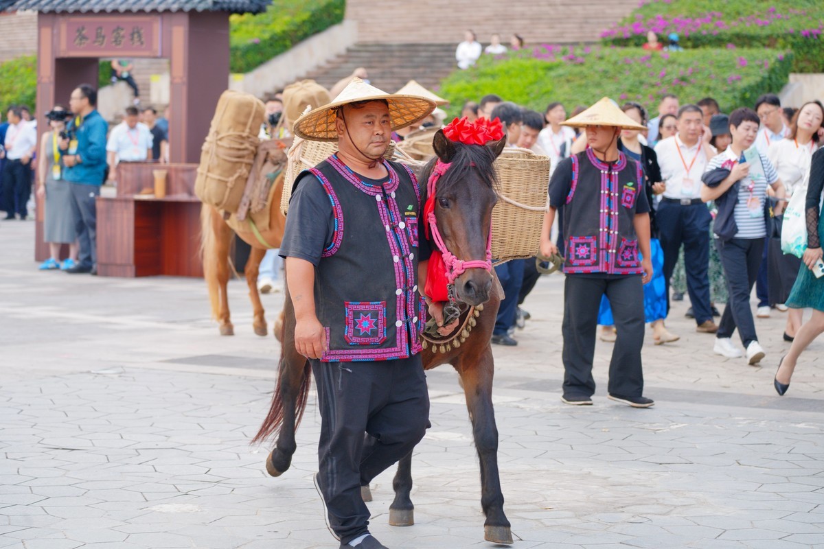 “茶和天下共享非遗”2024中国传统制茶技艺及其相关习俗展活动三