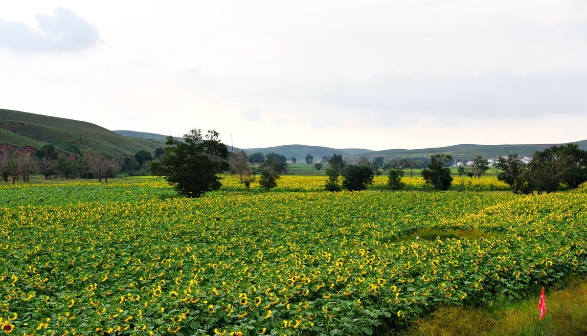 内蒙卓资县红石崖国家生态公园【3】