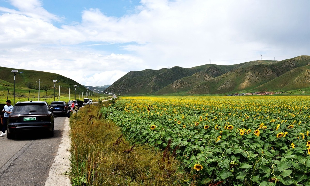 内蒙卓资县红石崖国家生态公园【3】