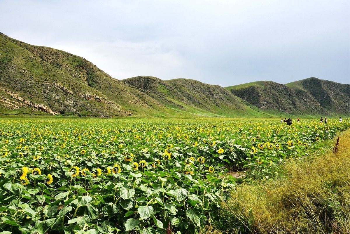 内蒙卓资县红石崖国家生态公园【3】