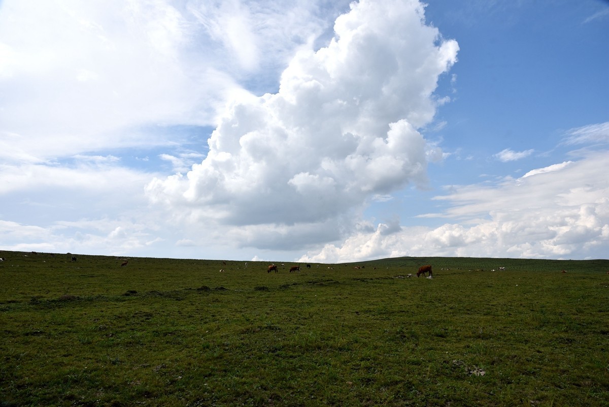 内蒙卓资县红石崖国家生态公园【6】