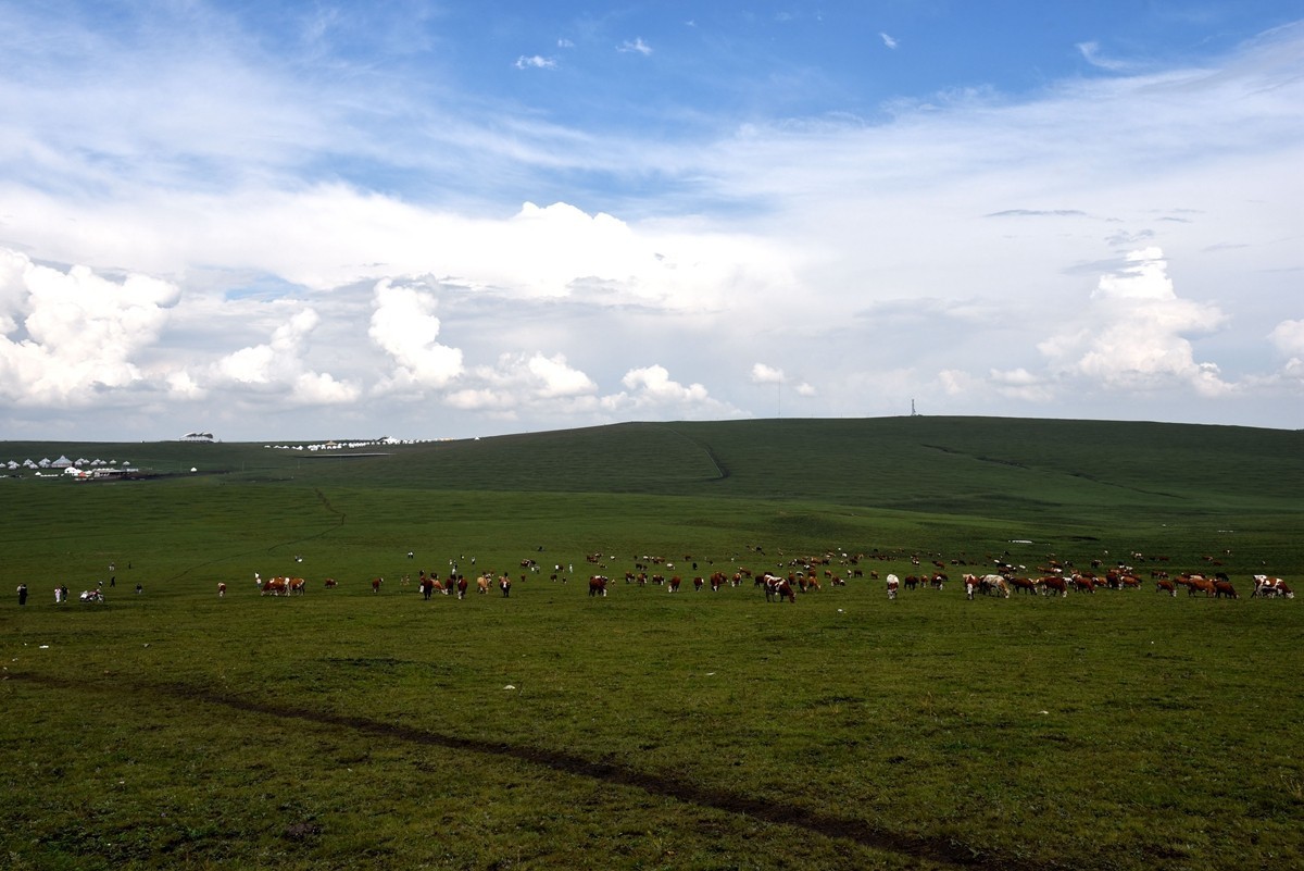 内蒙卓资县红石崖国家生态公园【6】
