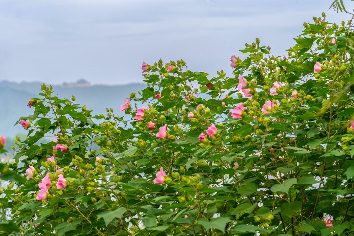 苏州石湖揽胜（一）