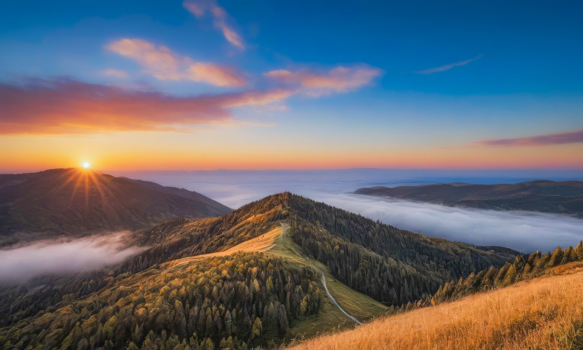 心灵在宁静中得以净化