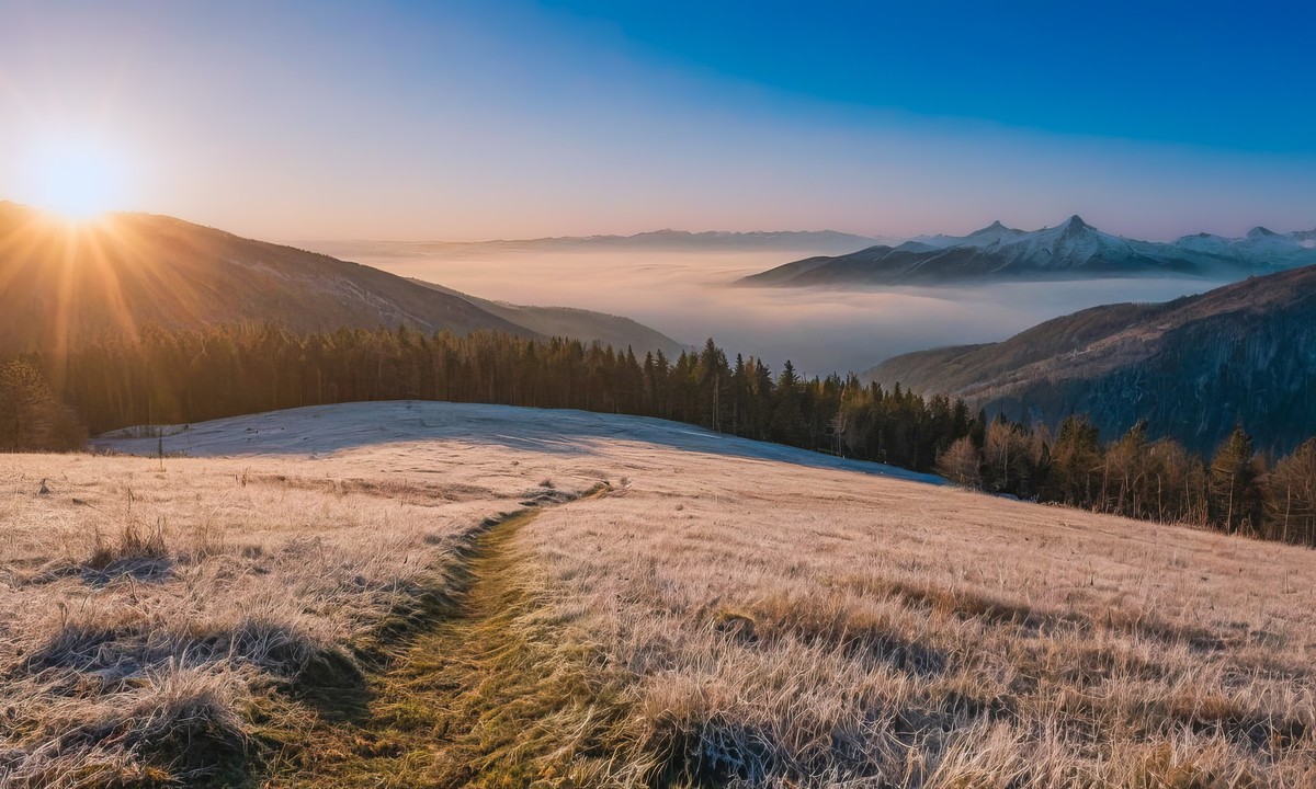 心灵在宁静中得以净化
