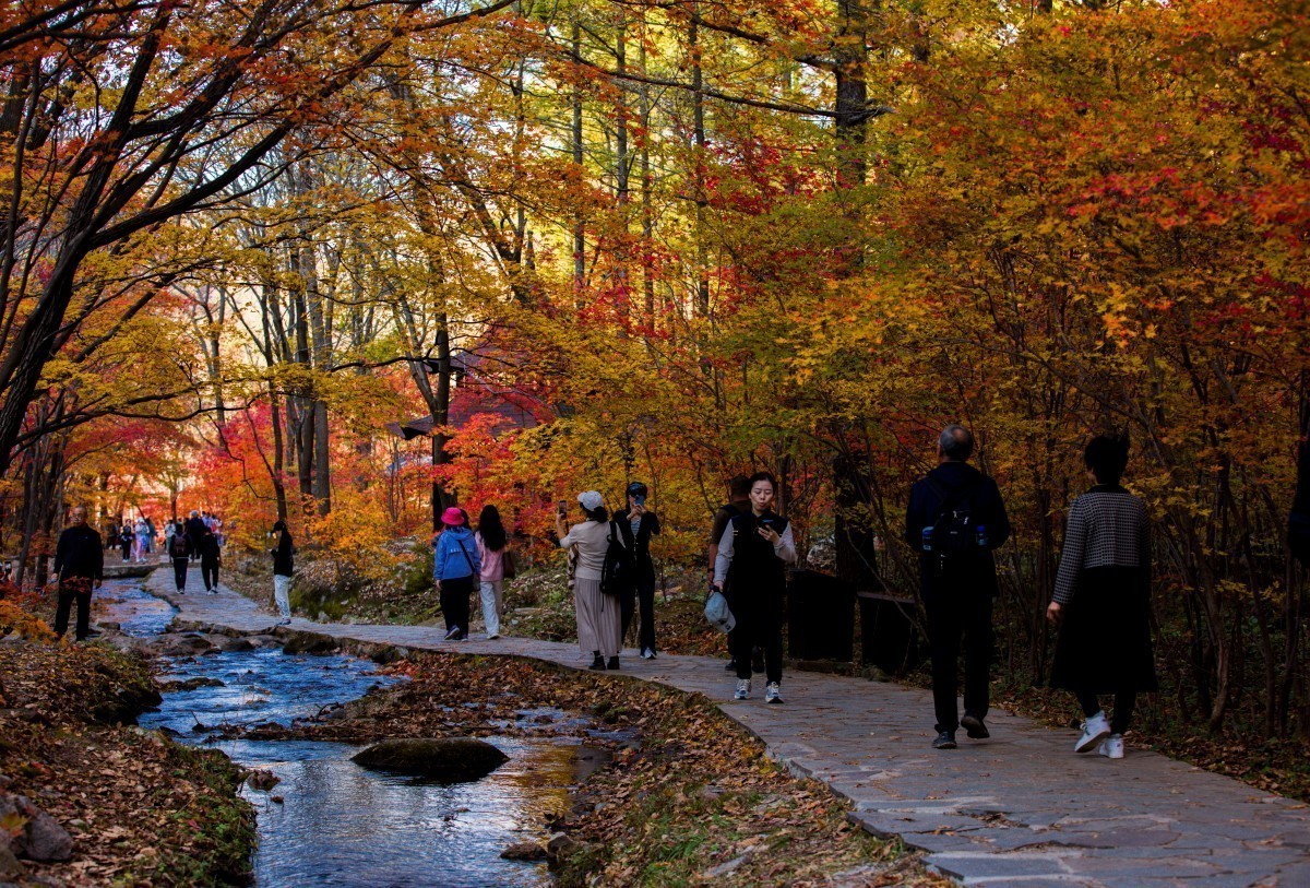 #版主坐堂#索尼大版星空(中国)2025年 3 月份优秀作品精选汇总