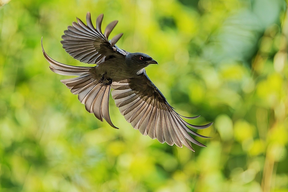 #版主坐堂#索尼大版星空(中国)2025年 3 月份优秀作品精选汇总