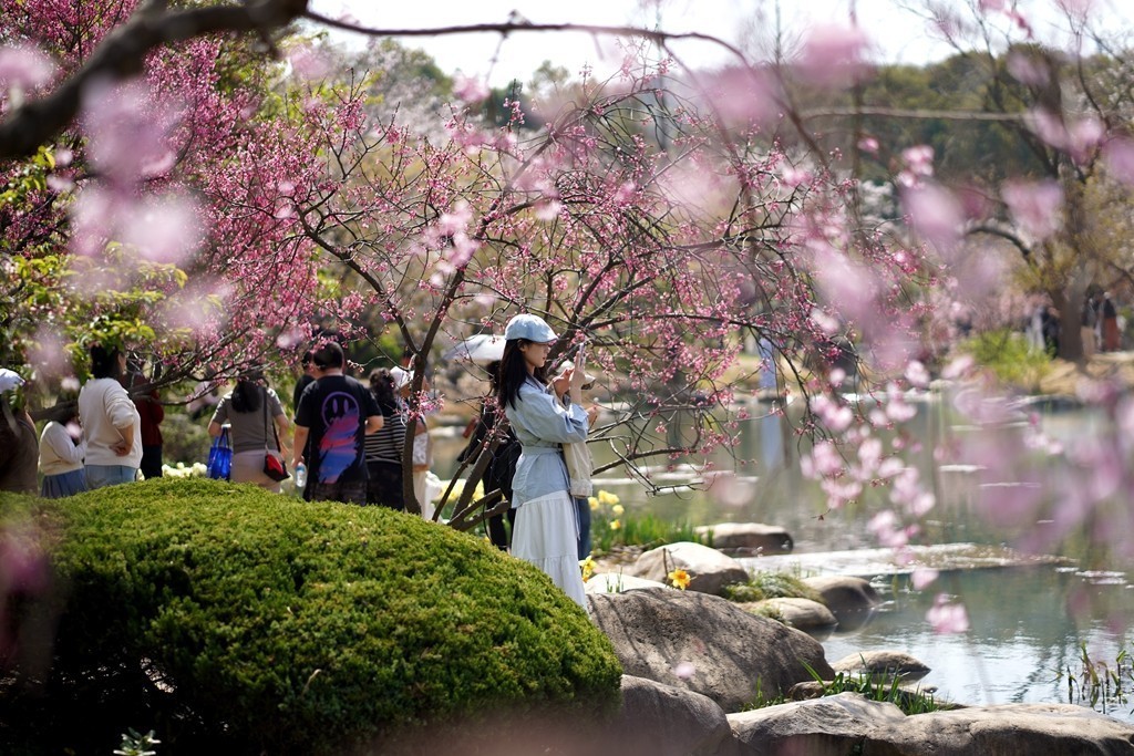 #版主坐堂#索尼大版星空(中国)2025年 3 月份优秀作品精选汇总