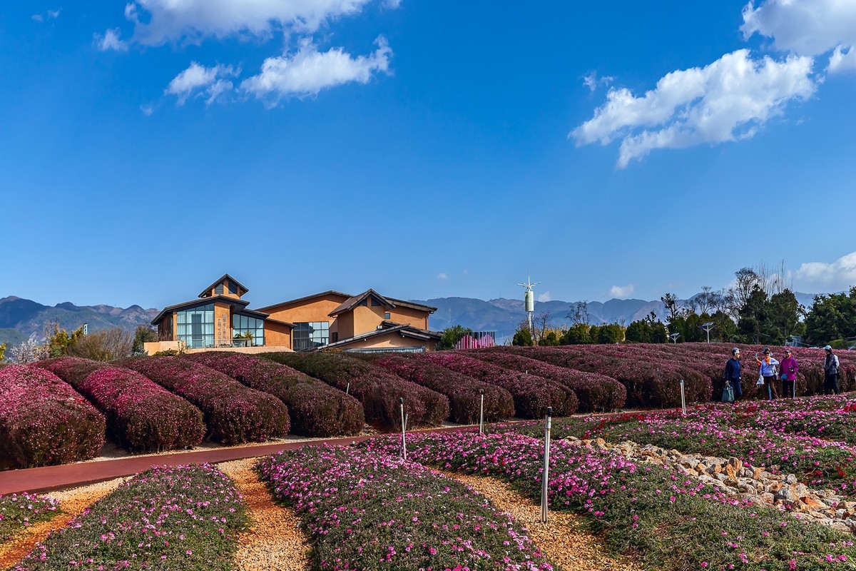 旅游记录 ：云南 · 玉溪 · 抚仙湖