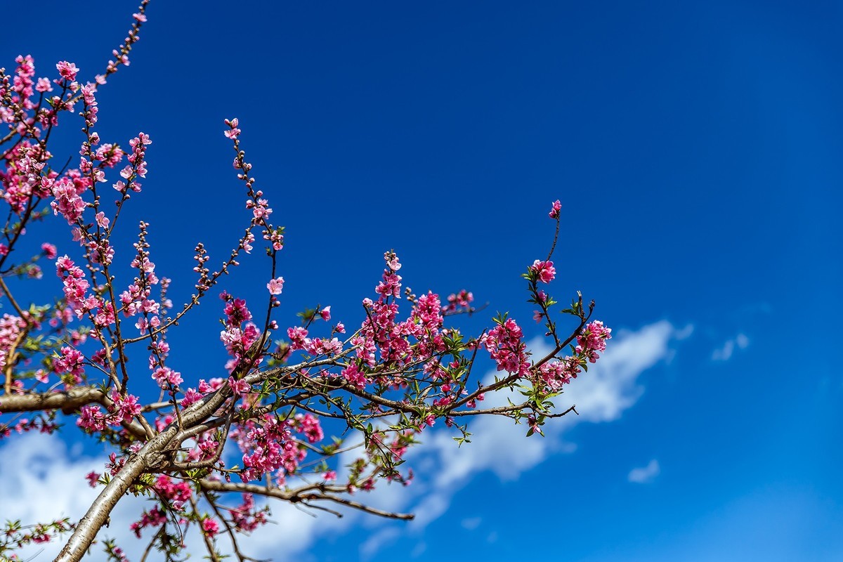 旅游记录 ：云南 · 玉溪 · 抚仙湖