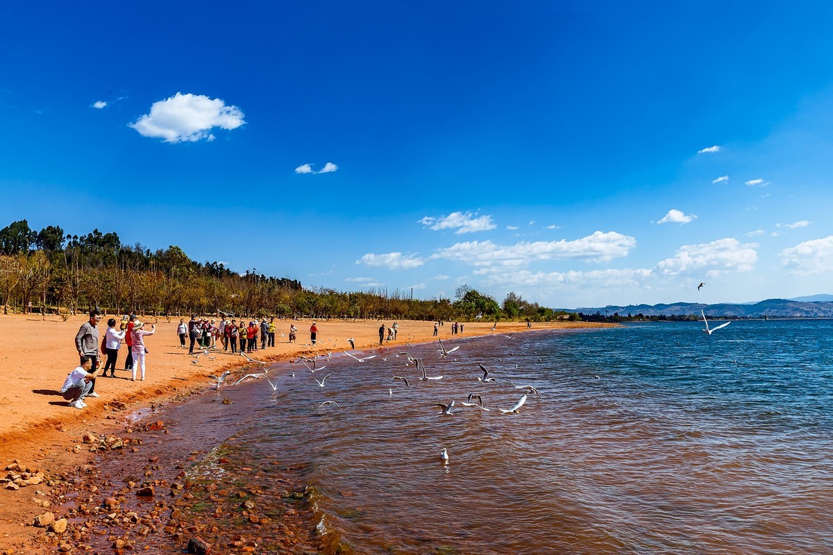 旅游记录 ：云南 · 玉溪 · 抚仙湖