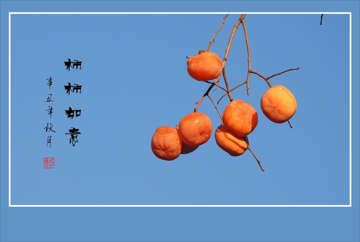 事事如意寓意的大柿子