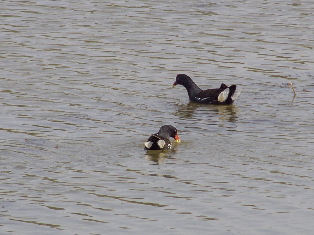 柯达，难以割舍得的色彩！(七)