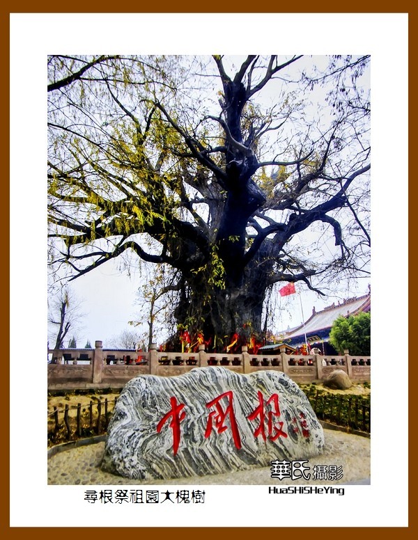 2020西西南北行游走山西101——寻根祭祖园大槐树（临汾市洪洞县）