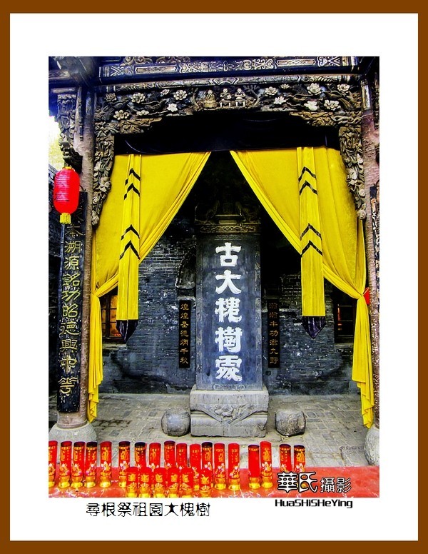 2020西西南北行游走山西101——寻根祭祖园大槐树（临汾市洪洞县）