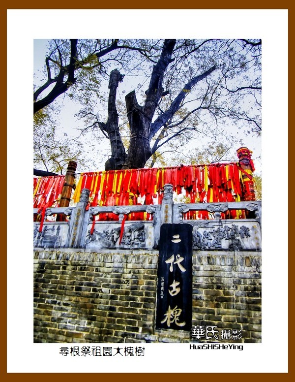 2020西西南北行游走山西101——寻根祭祖园大槐树（临汾市洪洞县）