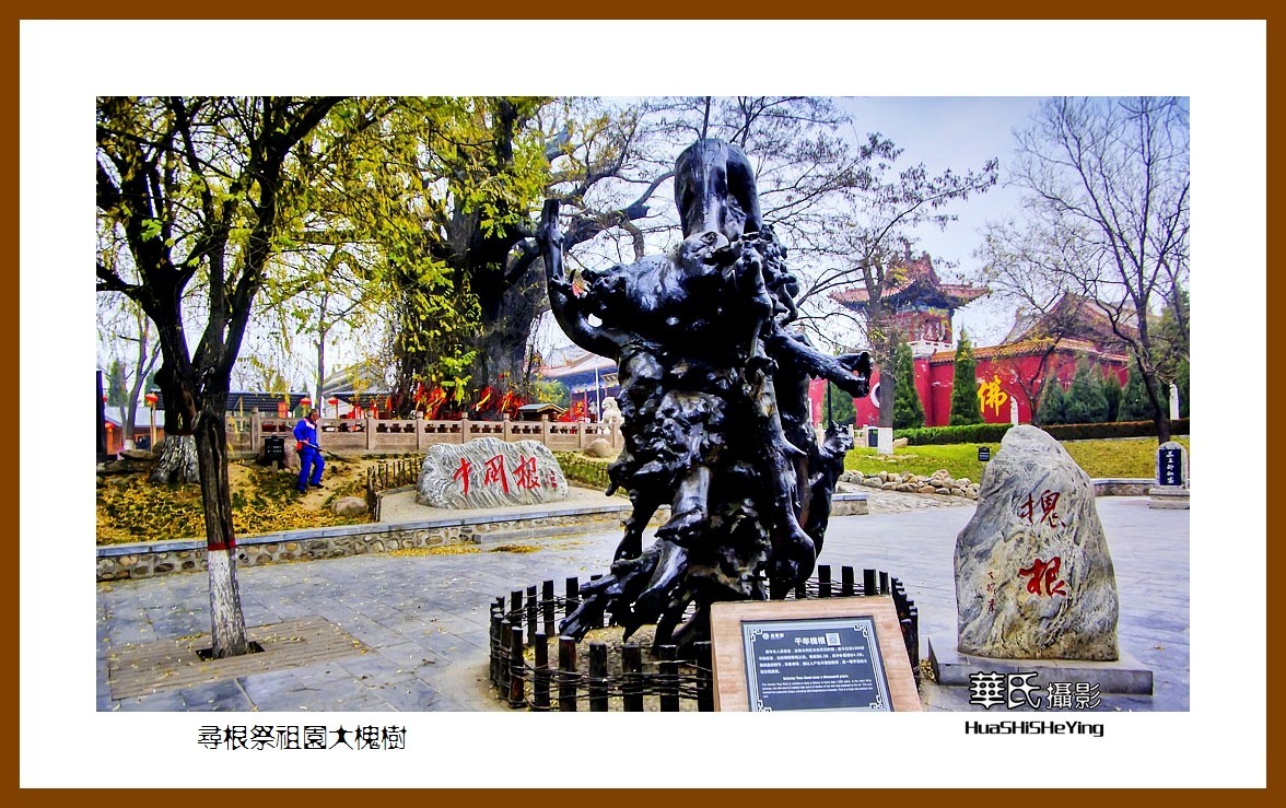 2020西西南北行游走山西101——寻根祭祖园大槐树（临汾市洪洞县）