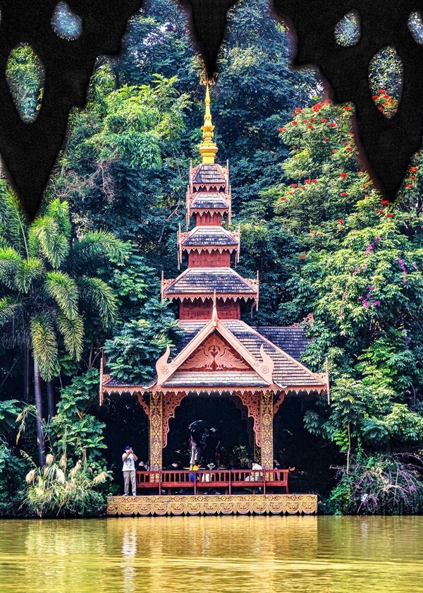 西双版纳--曼听公园【4】