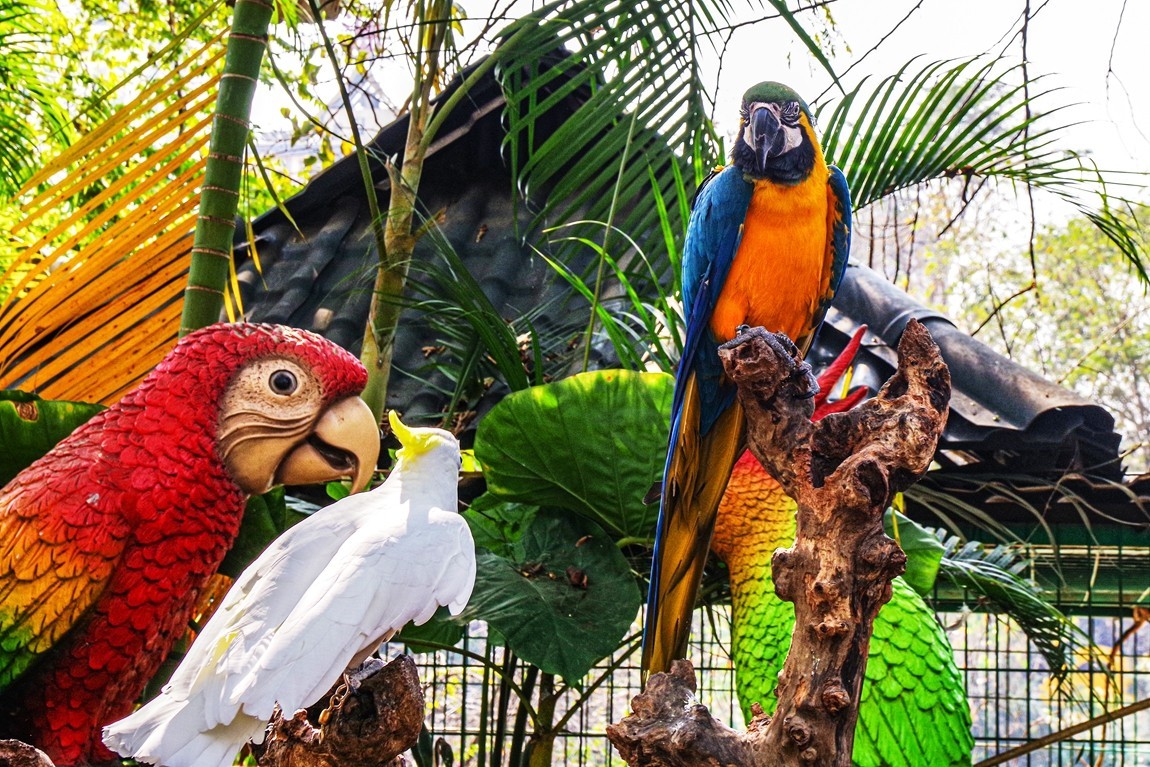 西双版纳--曼听公园【4】