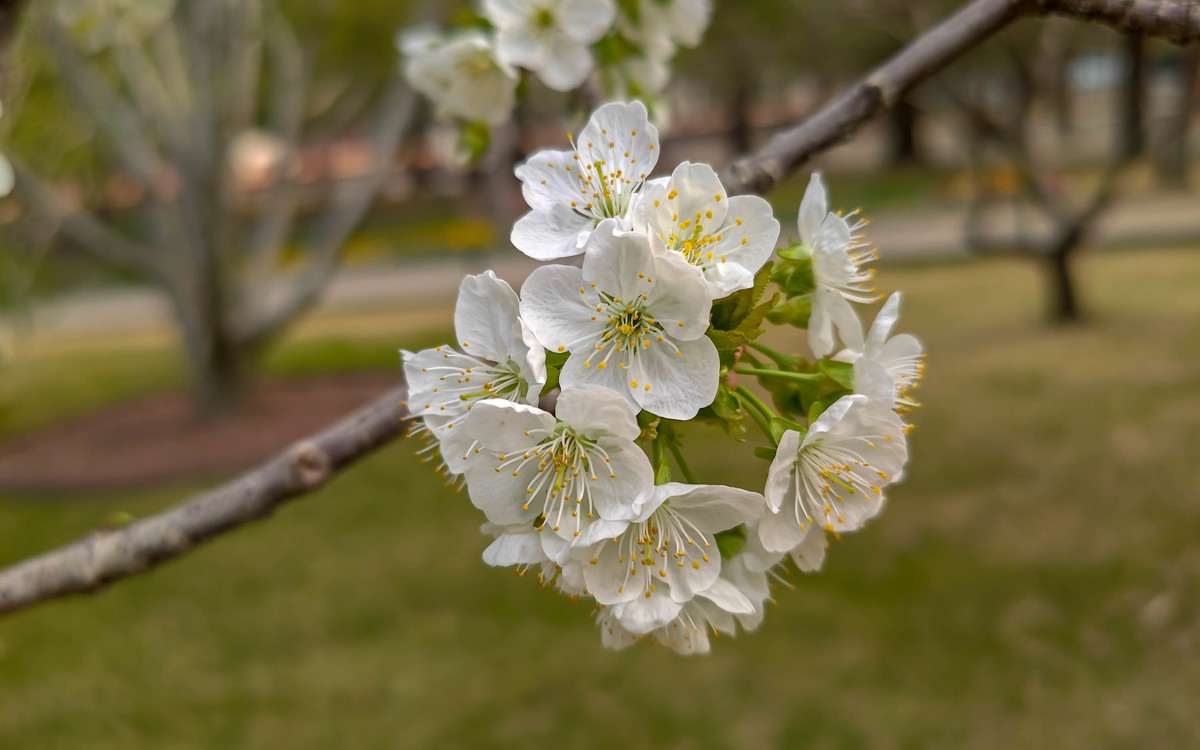 手机随拍20230401《14》