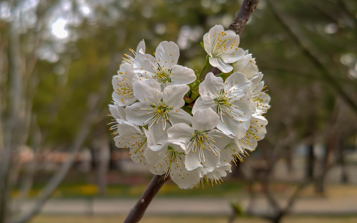 手机随拍20230401《14》