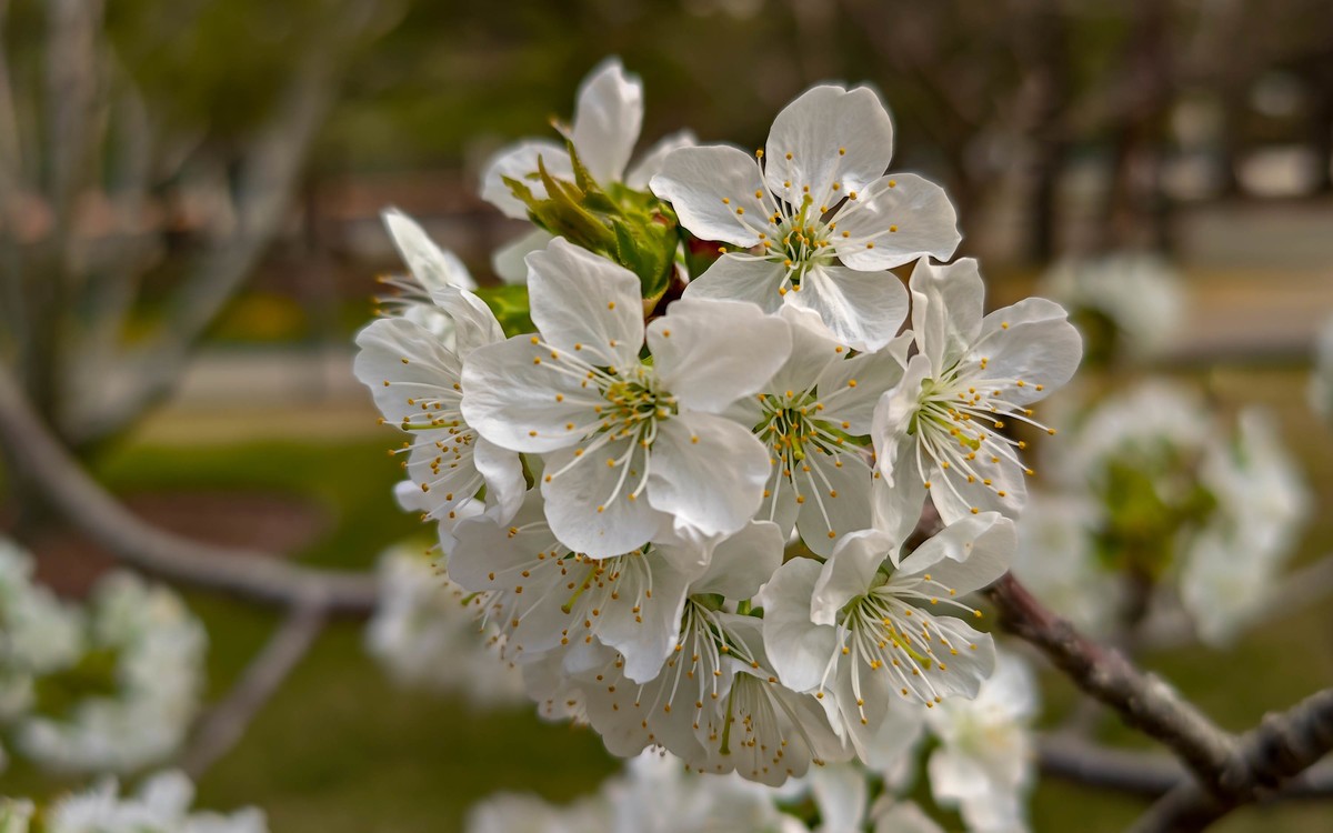 手机随拍20230401《14》