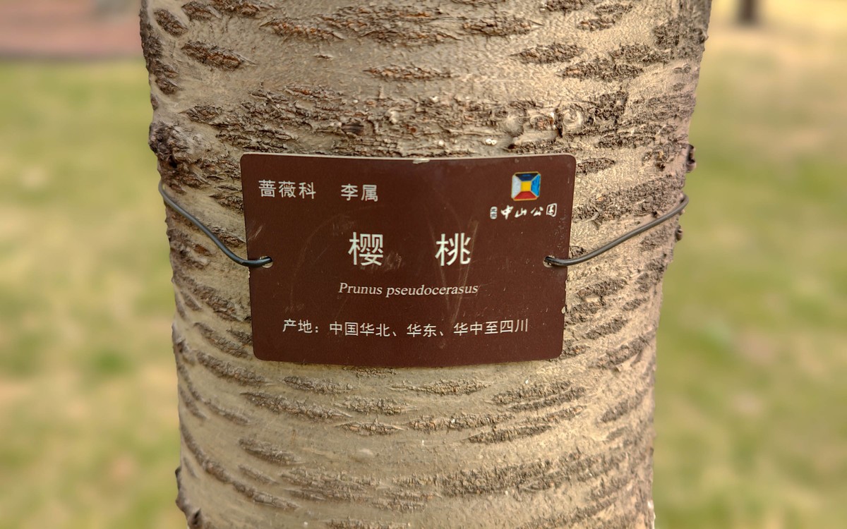 手机随拍20230401《14》