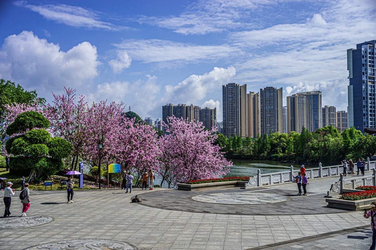 春天花开的时候