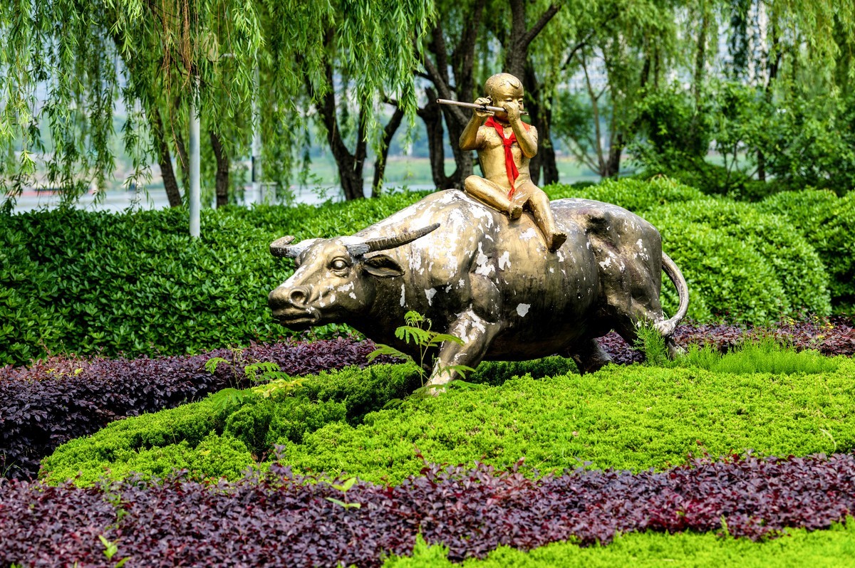 庐州印象（333）