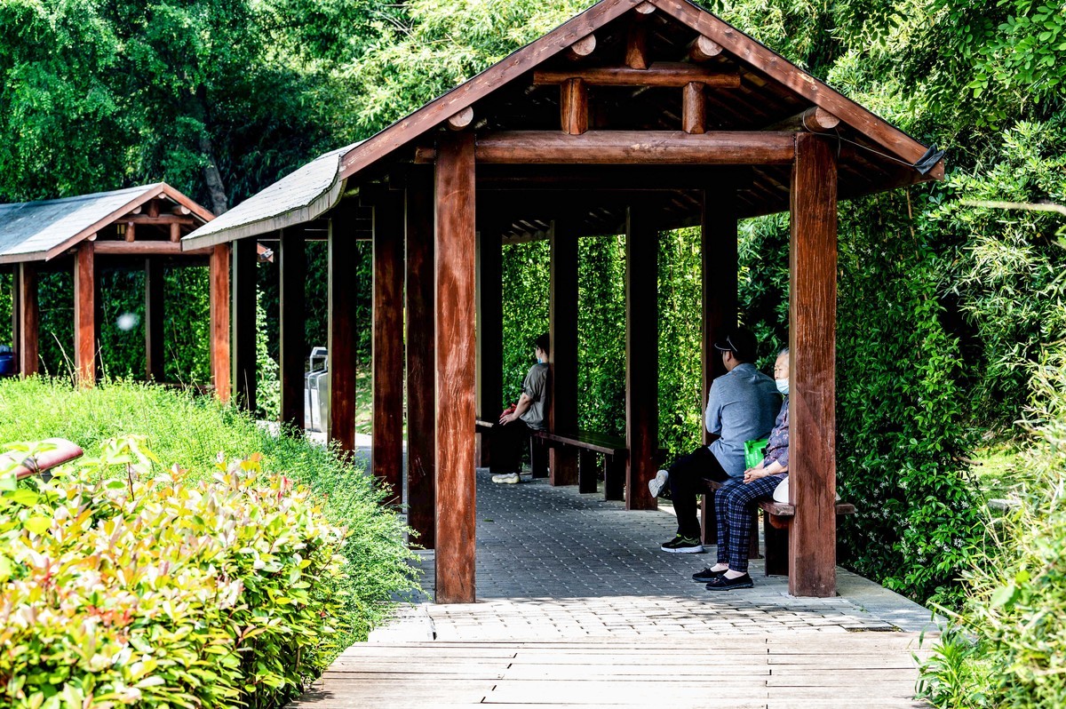 庐州印象（333）