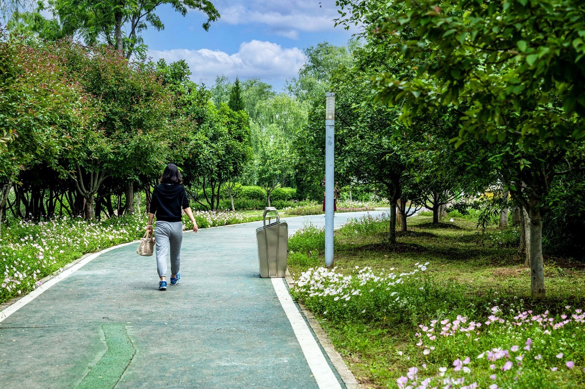 庐州印象（333）