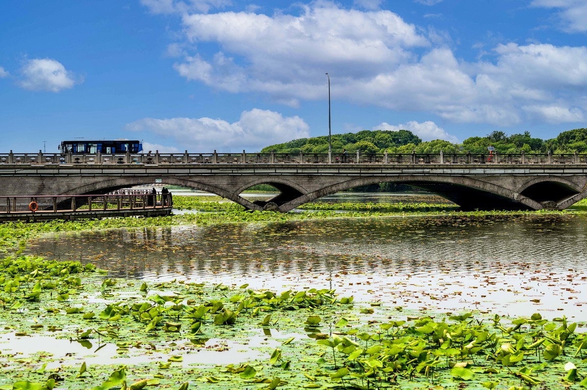 庐州印象（333）