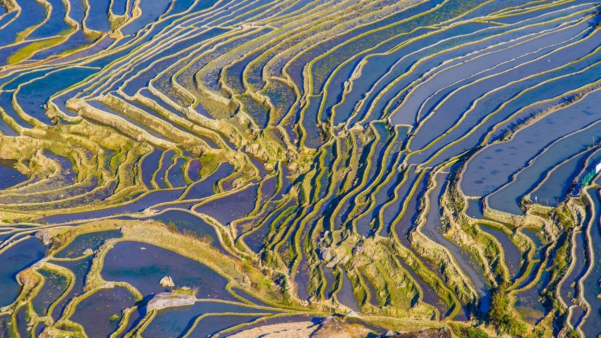 元 阳 、 元 阳 ------ 多 依 树 梯 田 （ 九 ）