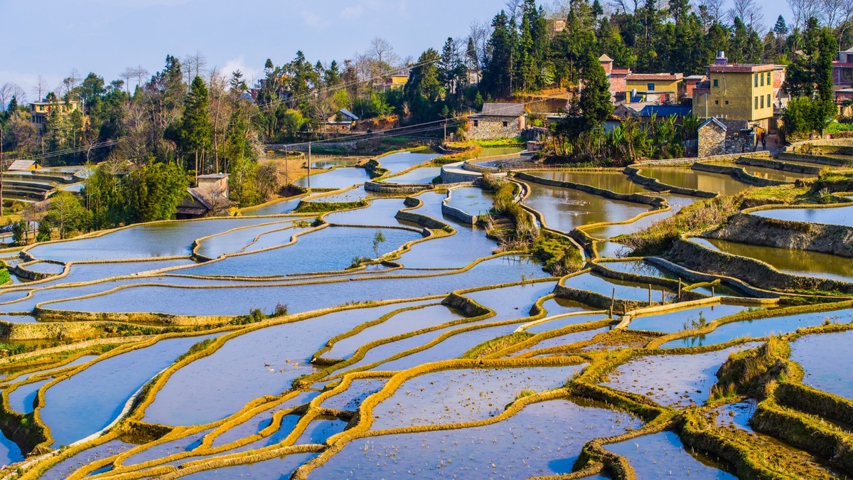 元 阳 、 元 阳 ------ 多 依 树 梯 田 （ 九 ）