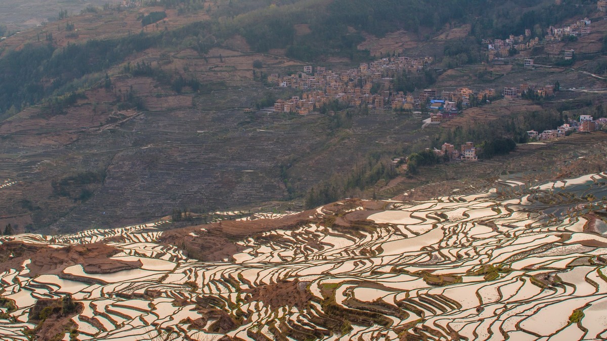 元 阳 、 元 阳 ------ 多 依 树 梯 田 （ 九 ）