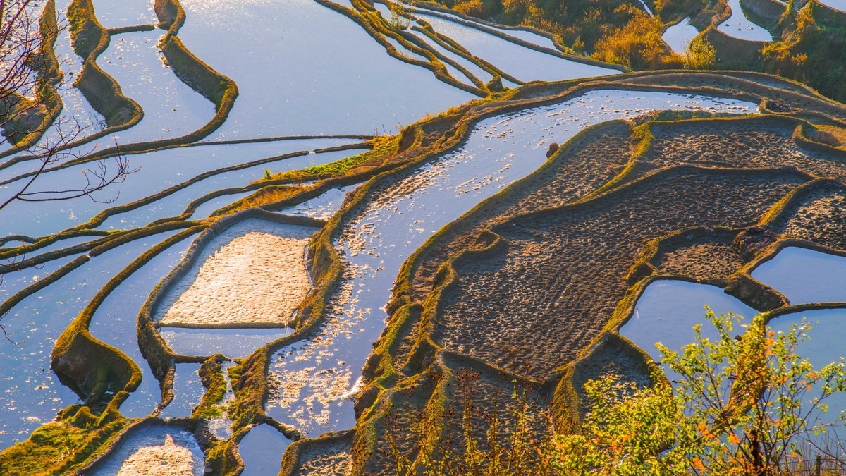 元 阳 、 元 阳 ------ 多 依 树 梯 田 （ 九 ）