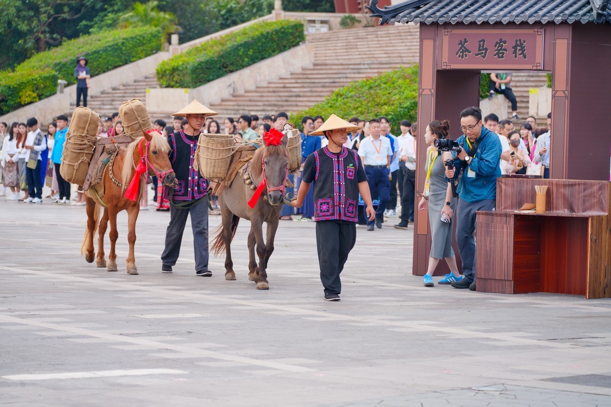 “茶和天下共享非遗”2024中国传统制茶技艺及其相关习俗展活动三