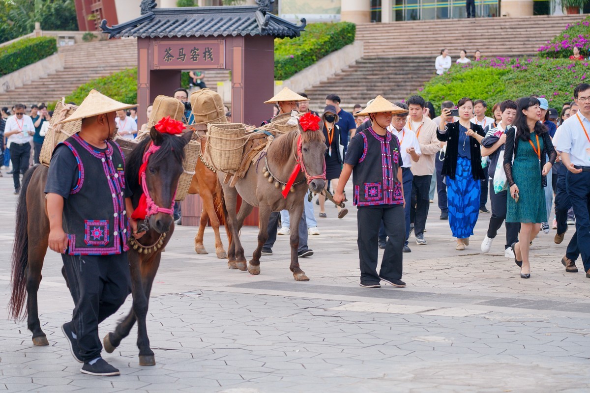 “茶和天下共享非遗”2024中国传统制茶技艺及其相关习俗展活动三