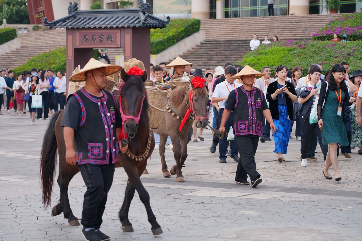 “茶和天下共享非遗”2024中国传统制茶技艺及其相关习俗展活动三