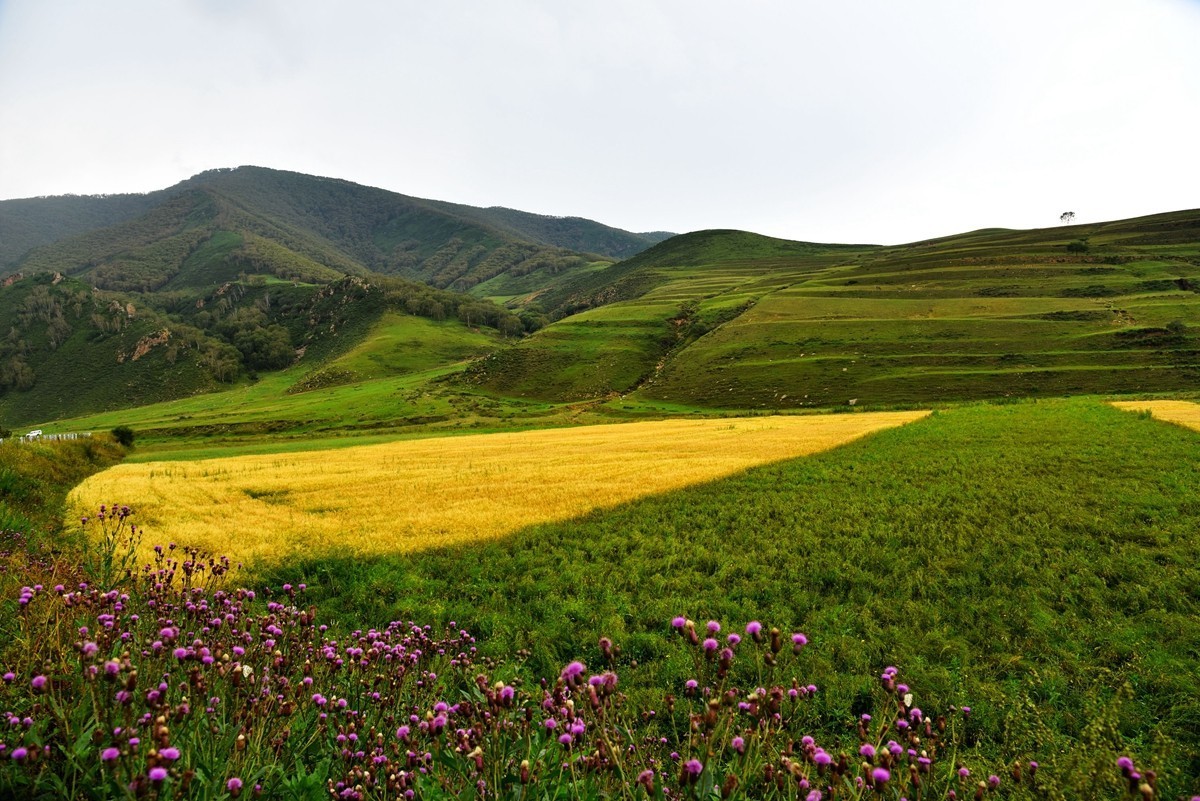 内蒙卓资县红石崖国家生态公园【3】