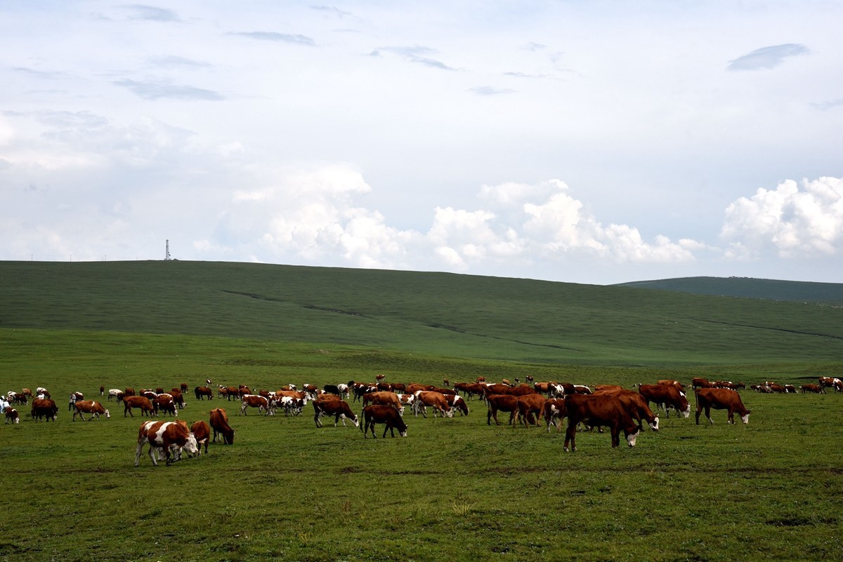 内蒙卓资县红石崖国家生态公园【3】