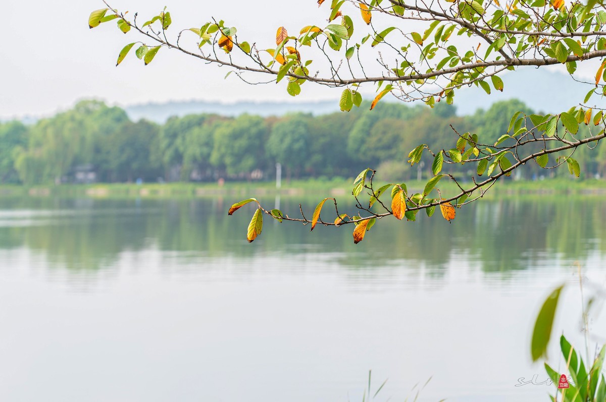 苏州石湖揽胜（一）